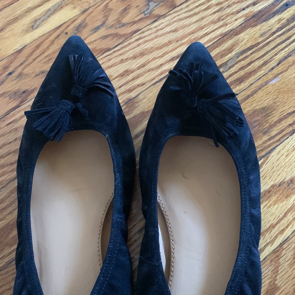 Pointed Toe J.Crew Ballet Flats